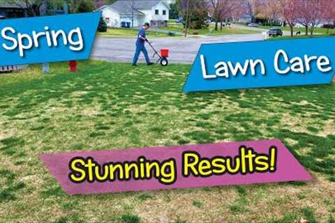 Spring Lawn Care Stunning Results