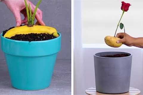 12 Indoor Gardening Hacks That Make You Throw Your Hands up and Sprout!