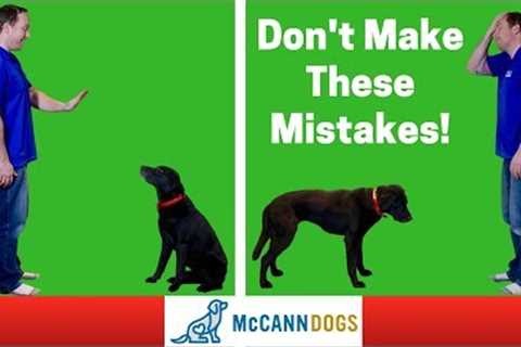 Teaching A Dog To Stay- 3 Common Mistakes - Professional Dog Training Tips