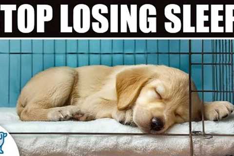 Tire Out Your HYPER Puppy Every Night in 4 EASY Steps
