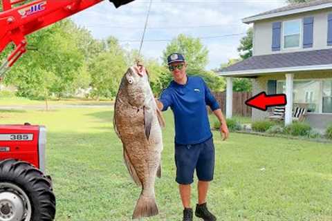 Big Black Drum Catch, Clean, &amp; Cook Like Never Before!