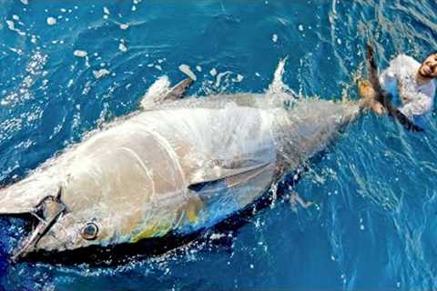 This Tuna was MASSIVE!!