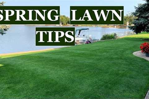 Don't make these 3 MISTAKES // Spring lawn care