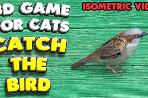 3D game for cats | CATCH THE BIRD (isometric view) | 4K, 60 fps, stereo sound