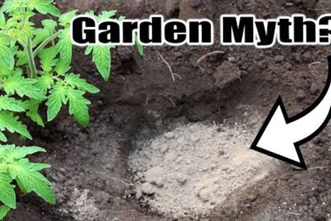 Top 10 Garden MYTHS... BUSTED!