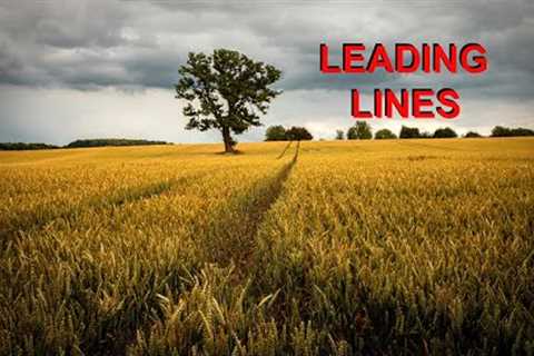 LANDSCAPE PHOTOGRAPHY | Use Leading Lines To Improve Your Photography