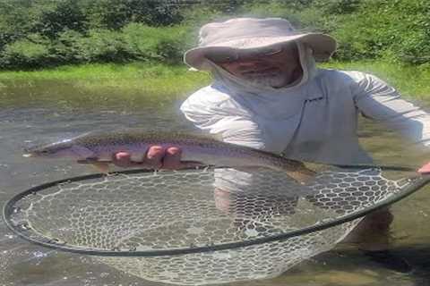 Yakima River Fly Fishing Report July 12th, 2024 Worley Bugger Fly Co