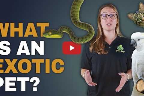 What is an ‘exotic’ animal?