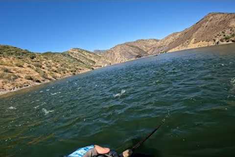 Most epic striped bass fishing ever! ( Pyramid lake, CA )