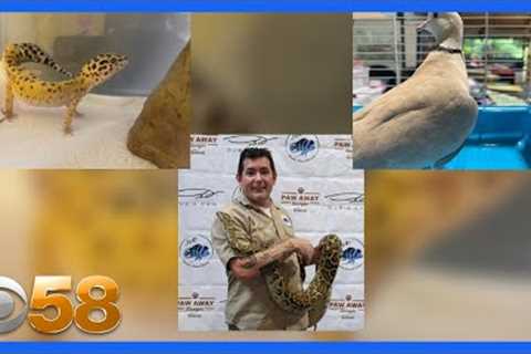37 exotic pets surrendered to a rescue at 'Exotic Animal Surrender' event in Bristol