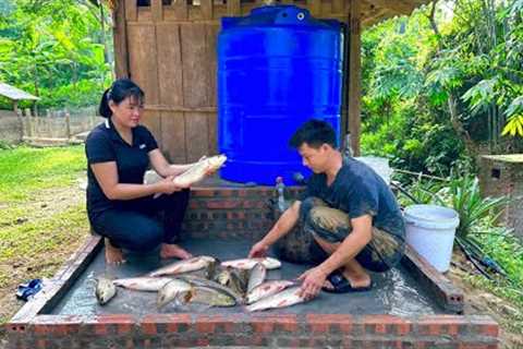 Complete renovation of water tank.  Together, we harvest fish from the pond to sell