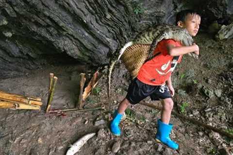 trap making skills, highland boy khai set a trap and hit a crocodile weighing 11kg, boy fishing