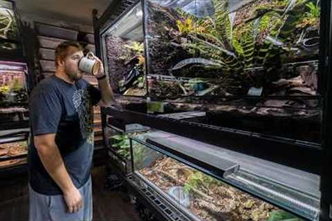 REPTILE ROOM TOUR July 2024!! 150+  PET Reptiles!