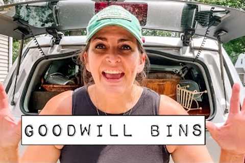 Thrifting Therapy at the Goodwill Bins - Thrift Haul