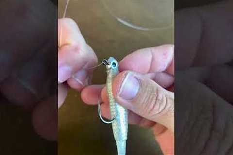 #1 Knot For Artificial Lures In Less Than 30 Seconds