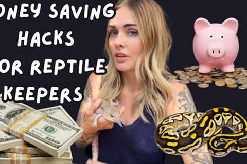 Money Saving Hacks For Reptile Keepers