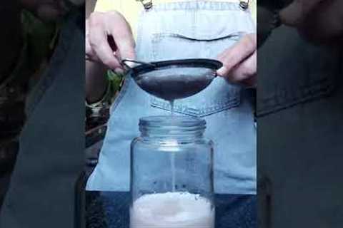 How to make natural insect repellent- garden. 2 ingredients- water💧 &amp; garlic🧄