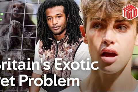 Exotic Pet Trade - Exposed | UNTOLD | Channel 4 Documentaries
