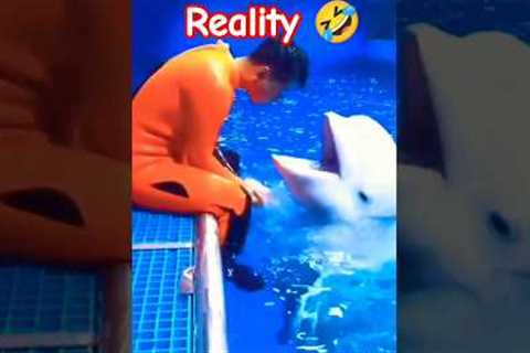 Social Media VS Reality 🤣 #viral #trending #socialmedia