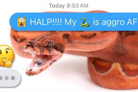 Aggressive/Defensive Snake? Watch How to PROPERLY Use A Snake Hook