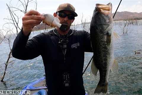 【Crush #12】-Wake Bait Fishing- Lake Perris