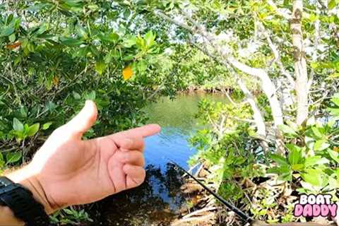 I try fishing from land in Key Largo for the 1st time
