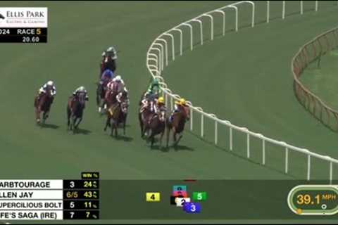 Ellis Park, Finger Lakes and Parx Racing Horse Racing Replays on 15 July 2024 | North America