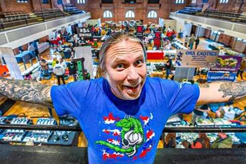 First Reptile Show in Five Years!!!