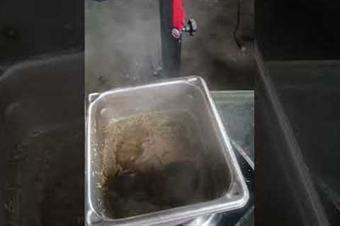 making bug repellent for the plants upgraded recipe