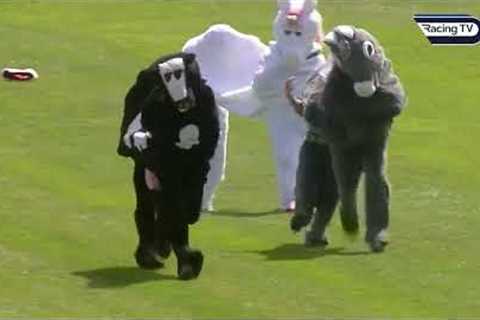 THE GREATEST PANTOMIME HORSE RACE YOU WILL EVER SEE! 🤣