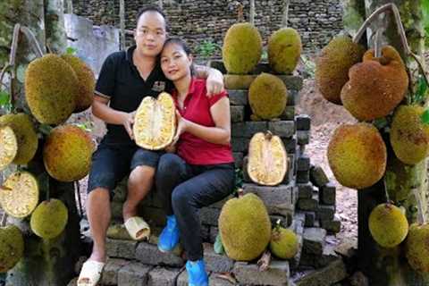Duong and beautiful wife Harvesting JACKFRUIT Goes to the market sell
