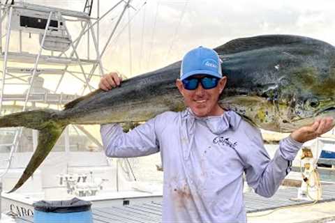 Mahi Mahi Catch Clean &amp; Cook (the best fish RECIPE you’ll ever MAKE)