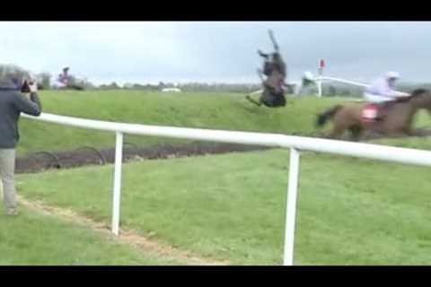 Horse Racing Death 28 - Youcannotbeserious at Punchestown Racecourse