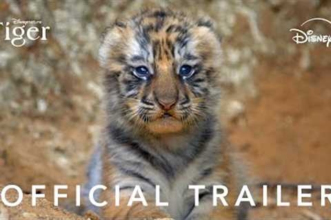 Disneynature's Tiger | Official Trailer