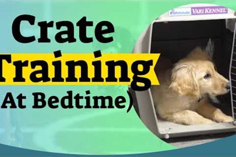 How to Crate Train A Puppy At Night - Crate training for puppies