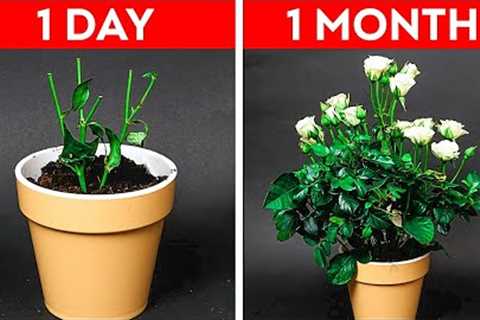 32 Easy Gardening Hacks For Beginners || Plants Growing Tips by 5-Minute DECOR!