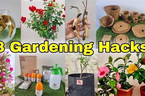 8 Gardening Hacks for all seasons | Fertilizer for plants [English cc]