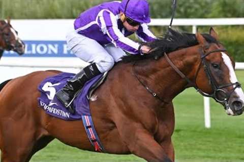 Meld Stakes winner DIEGO VELAZQUEZ could be bound for Cox Plate | Racing TV