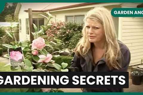Planting Tips and Myths Busted! - Garden Angels - S01 EP2 - Gardening