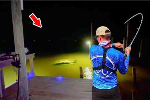 1 Hour Catching &amp; Cooking Big Dock Light Fish!