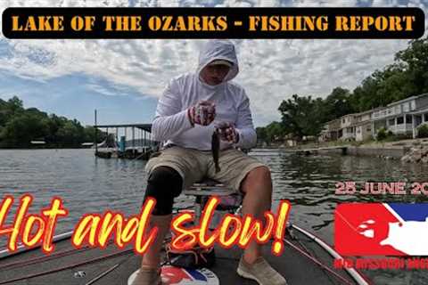 Lake of the Ozarks Bass Fishing - 25 June 2024 | Fishing report