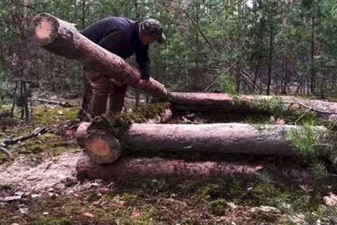 How to build a log cabin with a stove in the wild forest? Survival and bushcraft alone