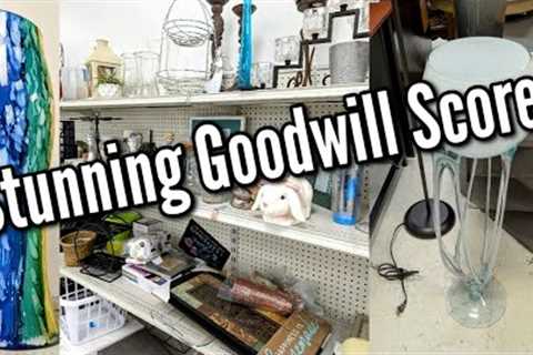 THE MOST STUNNING THING I HAVE EVER THRIFTED FROM GOODWILL! THRIFTING + HAUL 2024!