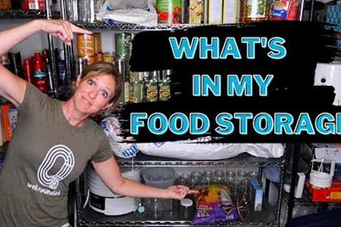 EMERGENCY FOOD STORAGE TOUR | HOW TO START A PREPPER PANTRY ON A BUDGET | VLOGUST #19