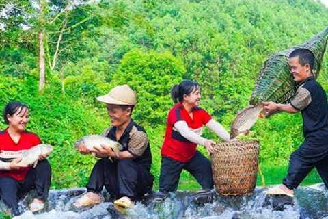 Dwarf family Happy life: Make traps to catch stream fish - Fish dishes - Primitive joy.