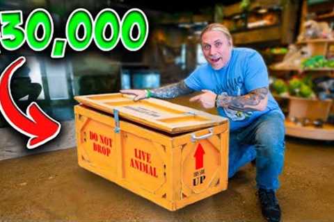 I Bought $30,000 of Snakes! They Just Arrived!