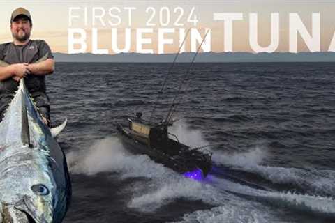 FIRST 2024 BLUEFIN TUNA - Greymouth, New Zealand