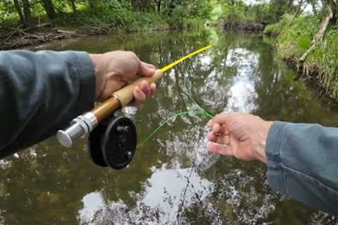 AVOID These 8 Common MISTAKES many FLY FISHERMAN do LOOKING for BROWN TROUT (NICE FISH CAUGHT)