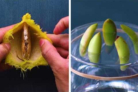 13 Genius Gardening Hacks That You’ll Be Glad to Know! Blossom