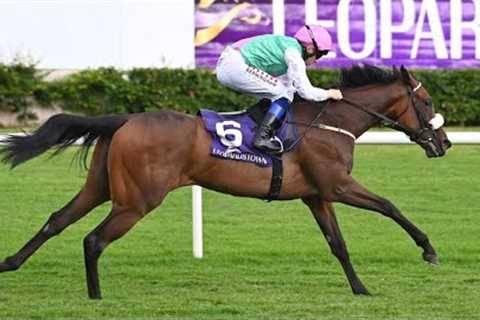1000 Guineas prospect? SWELTER looks exciting on debut at Leopardstown | Racing TV